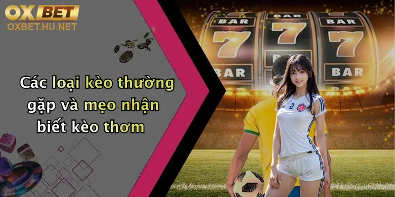 Tỷ Lệ Kèo Nhà Cái: Trải Nghiệm Đỉnh Cao Cùng Oxbet Đầy Hấp Dẫn 3 Các loại kèo thường gặp và mẹo nhận biết kèo thơm