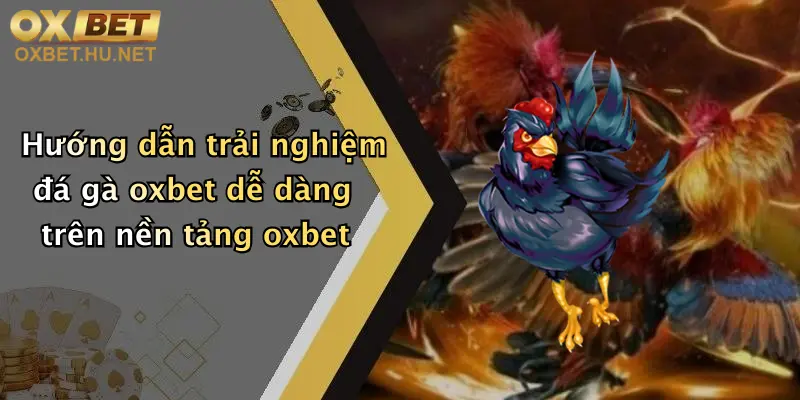 Đá Gà Oxbet: Thỏa Đam Mê Giải Trí, Nhận Thưởng Hấp Dẫn Cùng Nhà Cái Đỉnh Cao 4 Hướng dẫn trải nghiệm đá gà oxbet dễ dàng trên nền tảng oxbet