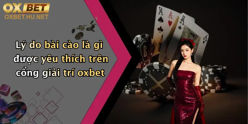 Bài Cào Là Gì: Khám Phá Game Đổi Thưởng Đỉnh Cao Tại Oxbet 5 Lý do bài cào là gì được yêu thích trên cổng giải trí oxbet