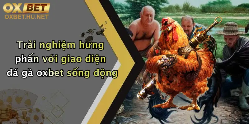 Đá Gà Oxbet: Thỏa Đam Mê Giải Trí, Nhận Thưởng Hấp Dẫn Cùng Nhà Cái Đỉnh Cao 2 Trải nghiệm hưng phấn với giao diện đá gà oxbet sống động
