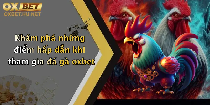 Đá Gà Oxbet: Thỏa Đam Mê Giải Trí, Nhận Thưởng Hấp Dẫn Cùng Nhà Cái Đỉnh Cao 1 Khám phá những điểm hấp dẫn khi tham gia đá gà oxbet